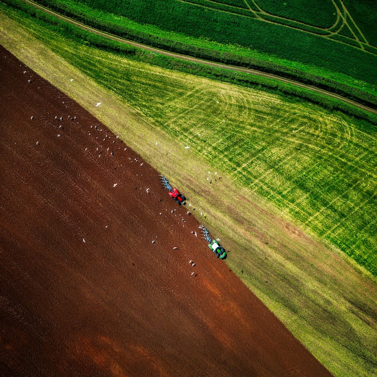 Producer working in an agricultural field